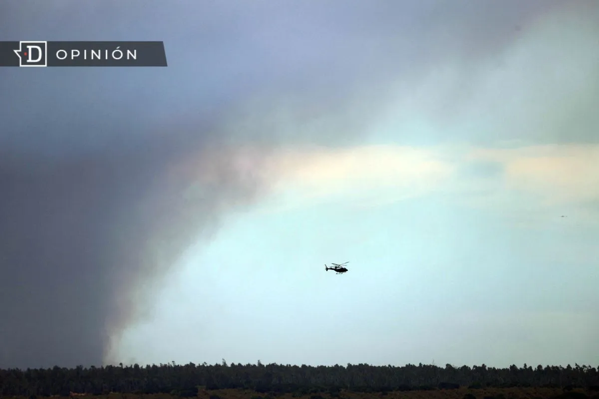 Las lecciones que nos deja el incendio de San Pedro