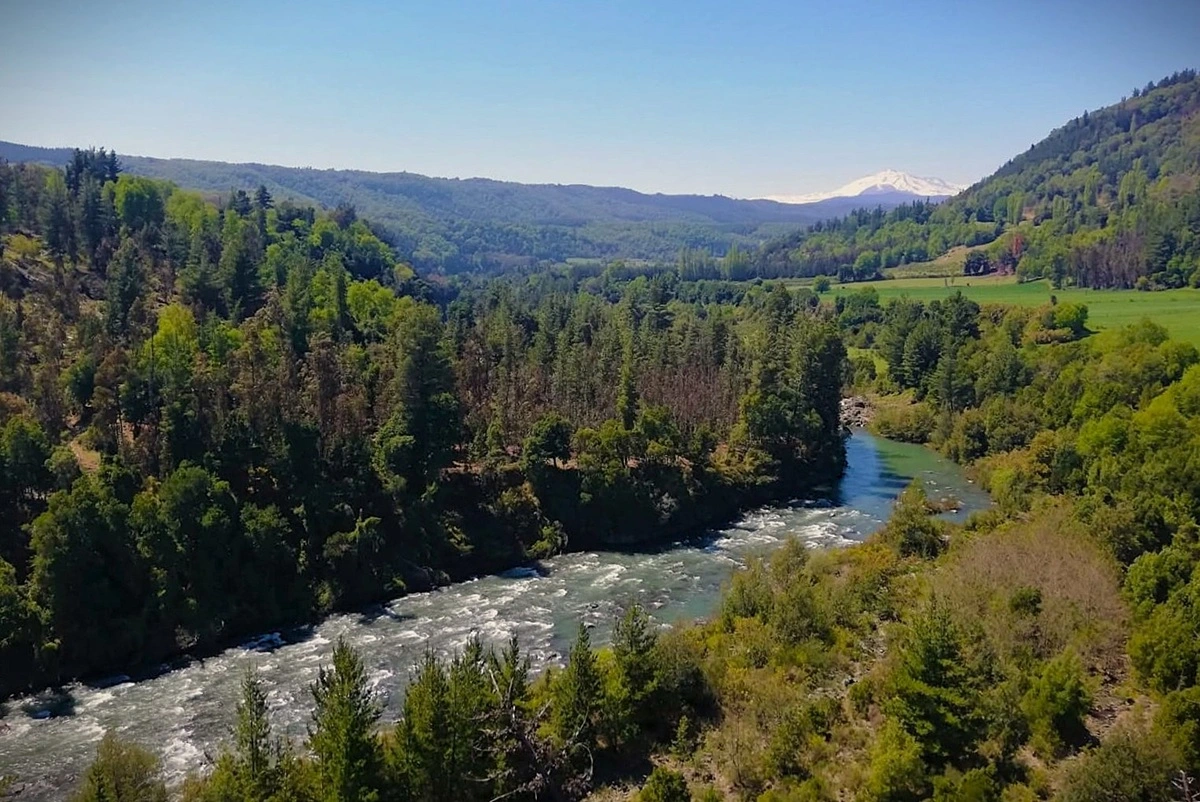Embalse Zapallar: El proyecto que inundará bosque nativo y tierras campesinas en el Ñuble, adjudicado a gigante China