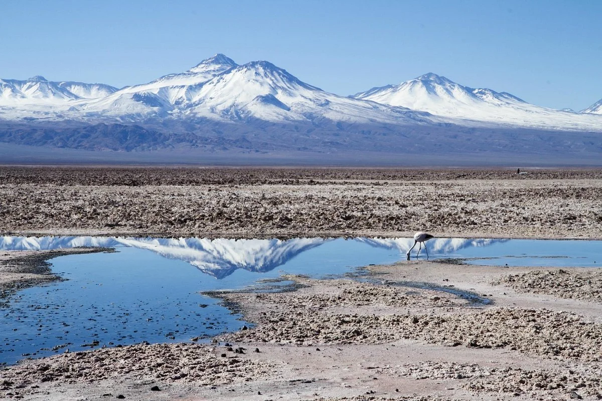 CGR da luz verde al acuerdo de litio entre Codelco y SQM en el Salar de Atacama en medio de debate por impactos ambientales