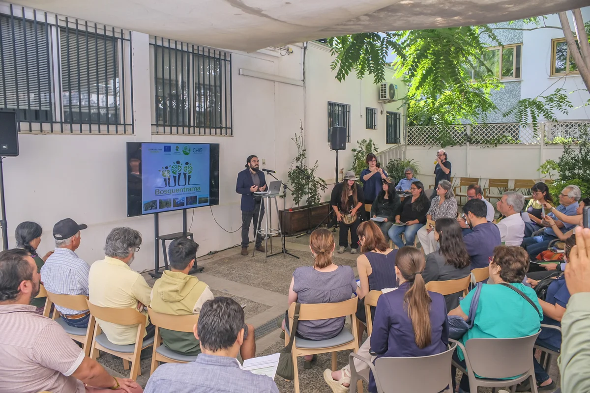 Observatorio de los Bosque de Chile presenta primer reporte para conectar necesidades de los territorios con políticas forestales