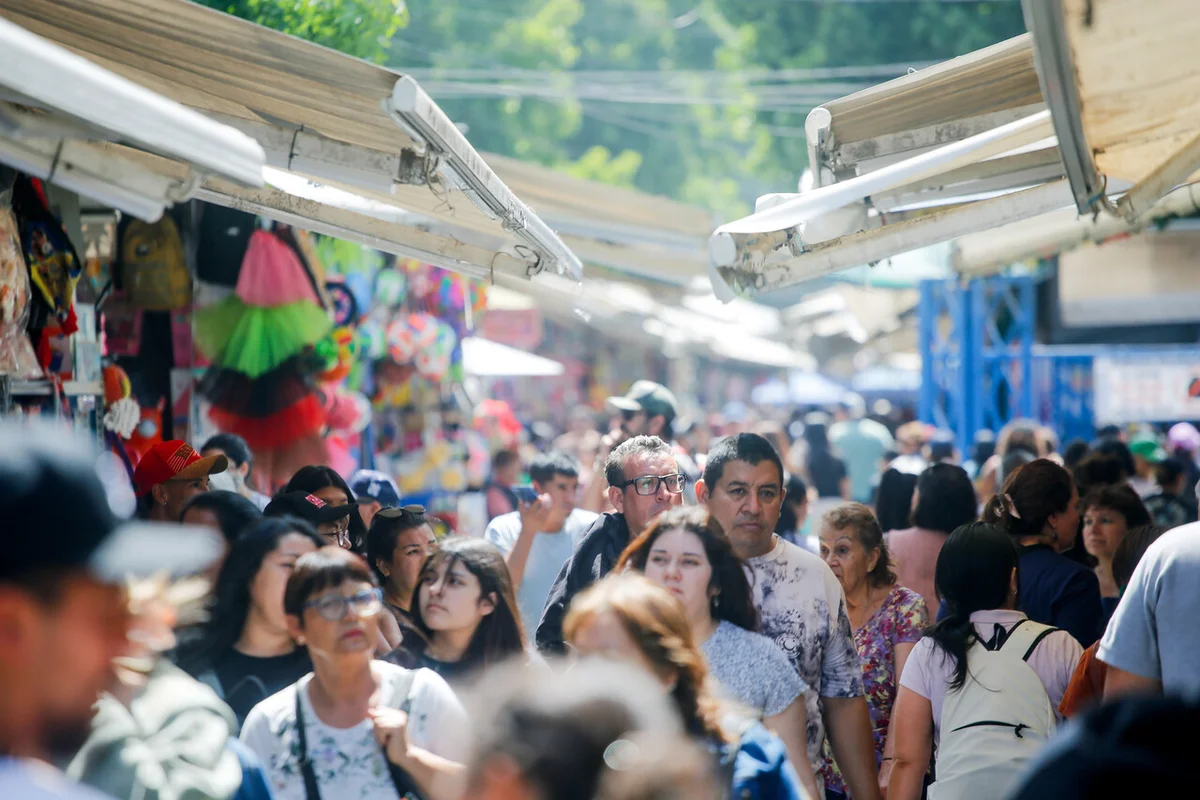 Dónde comprar la cena de fin de año: Plataforma gratuita compara precios de 130 alimentos típicos de más de mil negocios