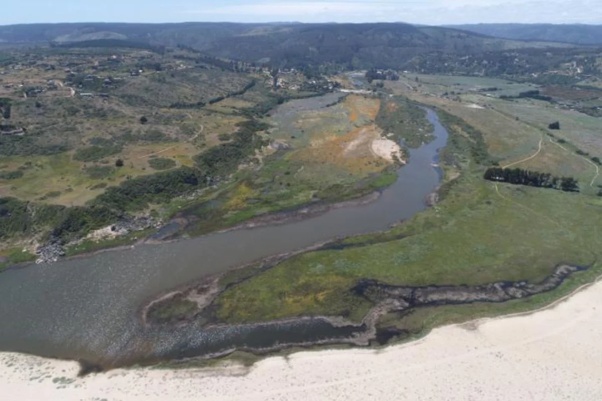 No más perros en Humedal Tunquén: prohiben ingreso de animales domésticos por daños a 264 especies