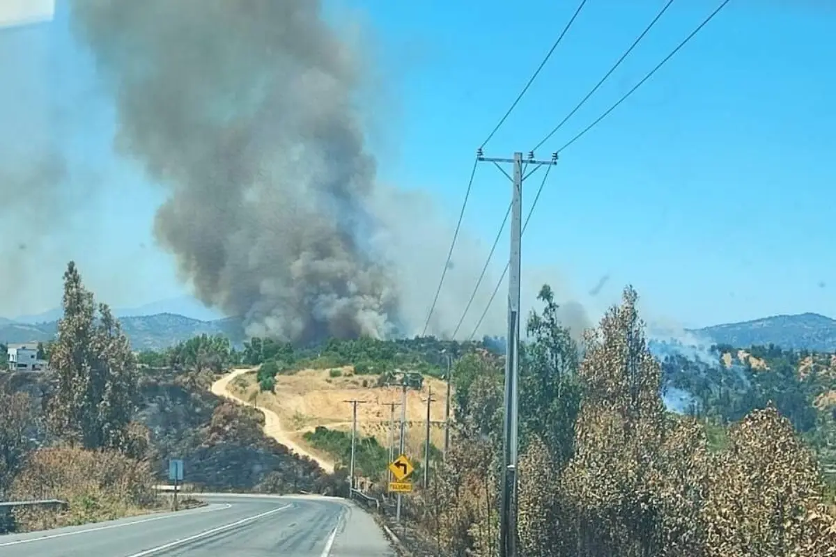 Alerta Roja en Litueche: incendio forestal afecta 50 hectáreas y obliga a nuevas evacuaciones