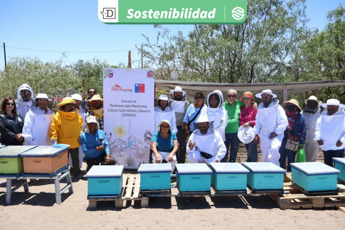 El aporte de las abejas a la seguridad alimentaria en el desierto: Convenio fomenta la apicultura en provincia del Tamarugal