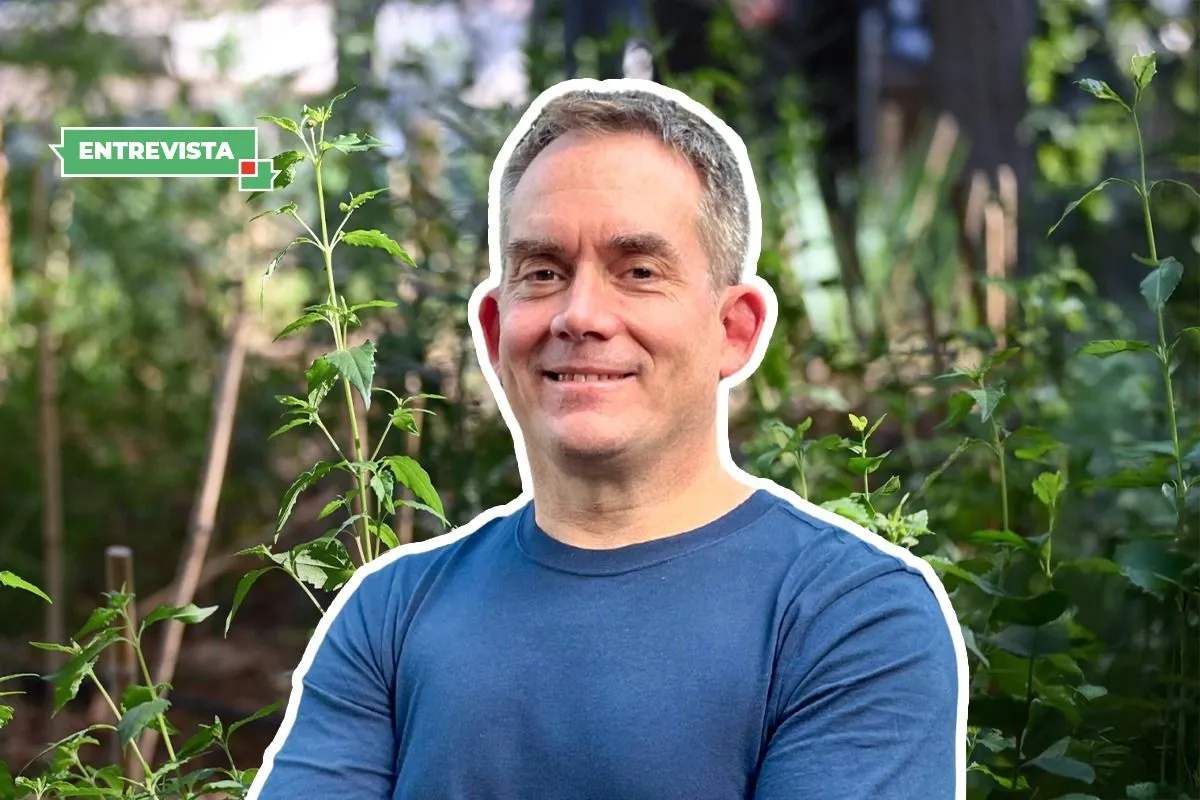 Bosques Miyawaki o “de bolsillo” en Santiago: “La inversión masiva ya se hizo, pero no se ha exigido ningún tipo de monitoreo”