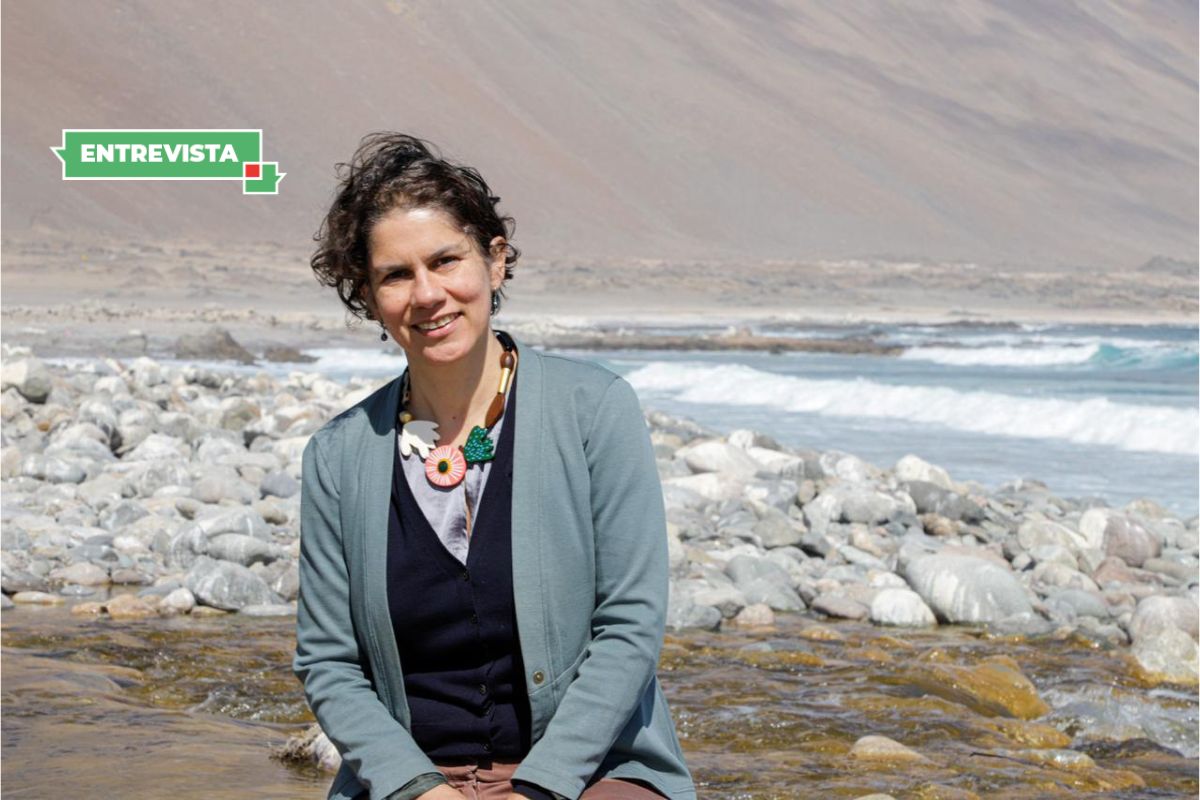 Maisa Rojas: “Ambientalmente Chile está mejor que hace 4 años porque incluimos la naturaleza en las decisiones de Estado”