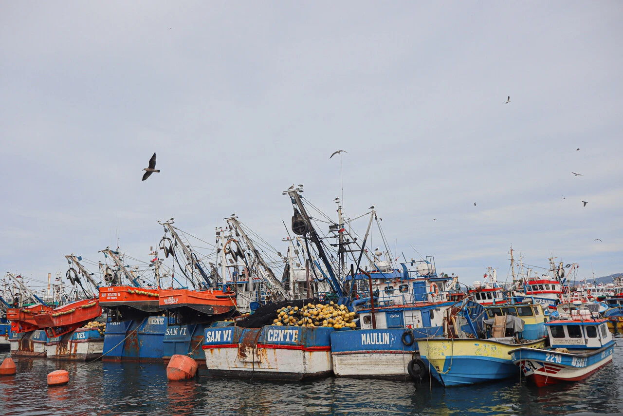 Pesca artesanal lanza advertencia al Congreso: 