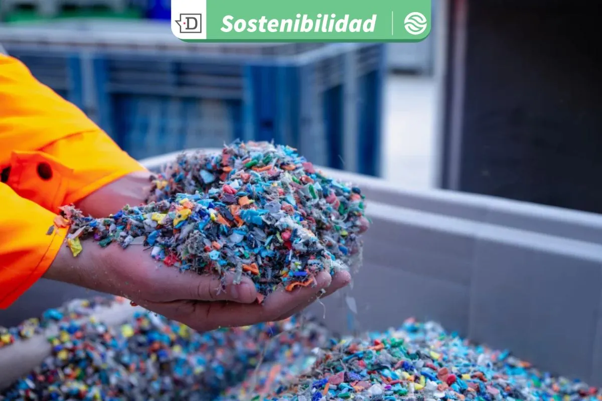 Pacto Chileno de los Plásticos: Reduce de 75 mil toneladas en primer ciclo y proyecta educación ambiental como meta 2030