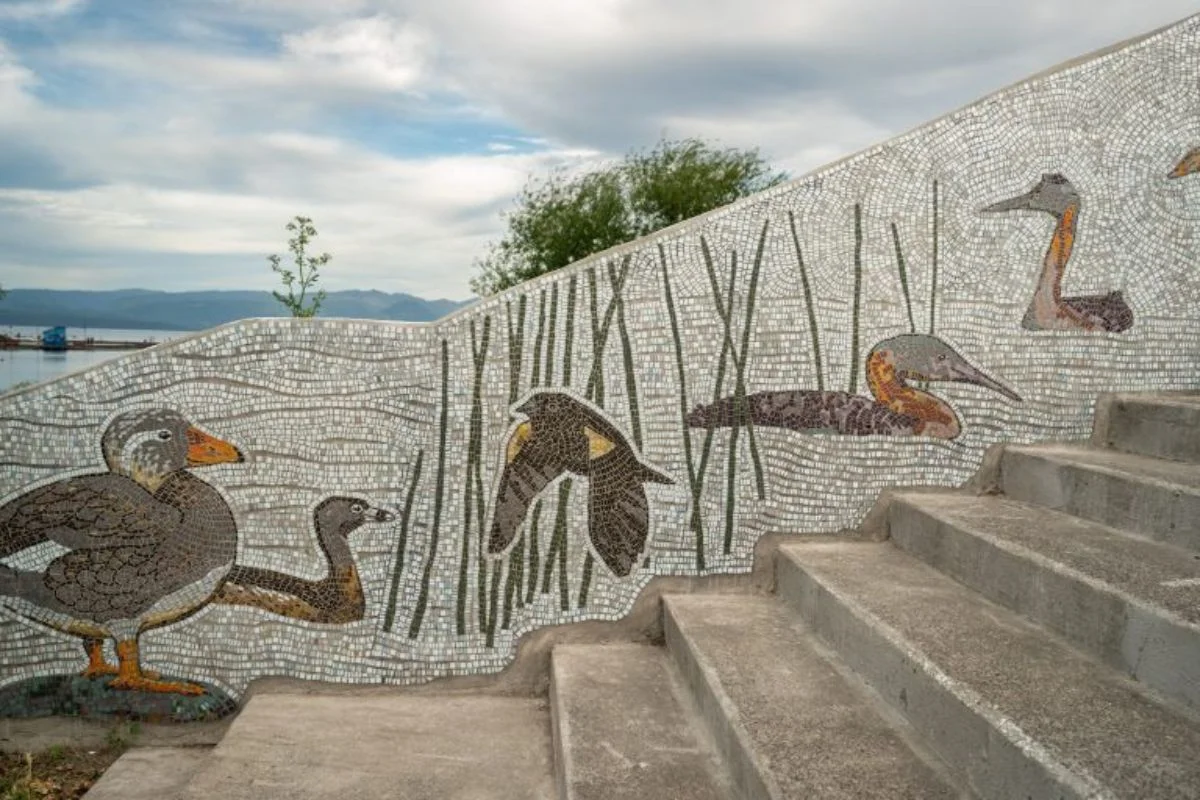 Villarrica inaugura un mural participativo que resalta la flora y fauna del humedal urbano Mallolafquen