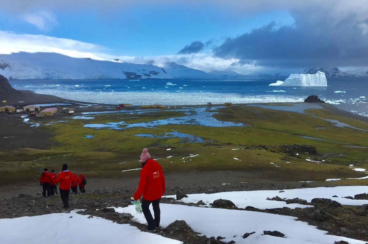 Científicos estudian plantas del Desierto de Atacama y la Antártica para idear cultivos resistentes a la crisis climática