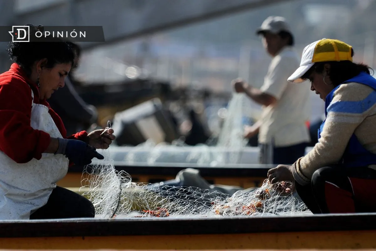 De la naturaleza de los cuidados a los cuidados de la naturaleza: Experiencias de las mujeres recolectoras de orilla en la Caleta de Llico