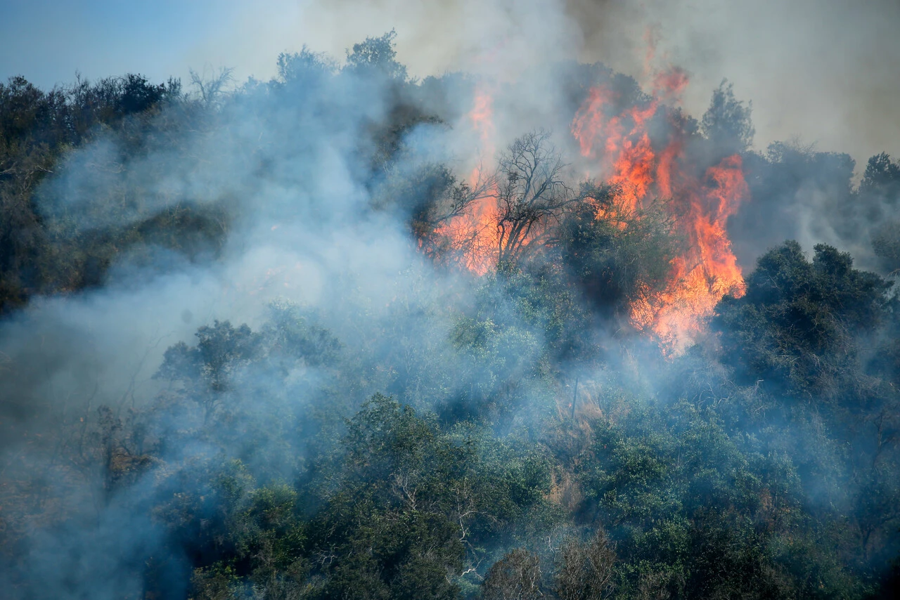 DMC actualiza al alza la Alerta Meteorológica por calor extremo: 37°C en Santiago y casi 30°C en Viña del Mar