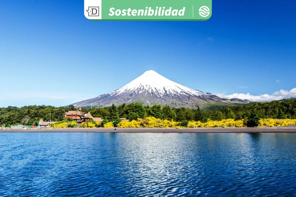 Solucionar la contaminación de fecas en bahía de Puerto Varas: Gestionan alcantarillados y alternativas naturales