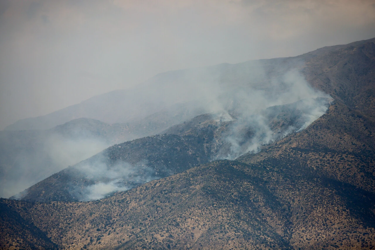 “Es desgarrador, se quema nuestro bosque esclerófilo con especies únicas de Chile”: Lamentan daño ecológico de incendio