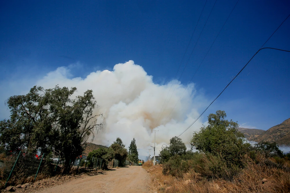 Alerta Meteorológica por calor extremo y amenaza de incendios forestales se traslada al sur: Hasta 38°C en La Araucanía
