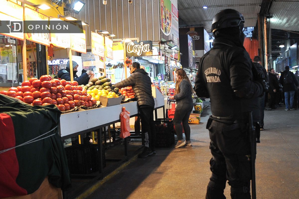 Más seguridad municipal: Los desafíos de la gestión local contra el crimen