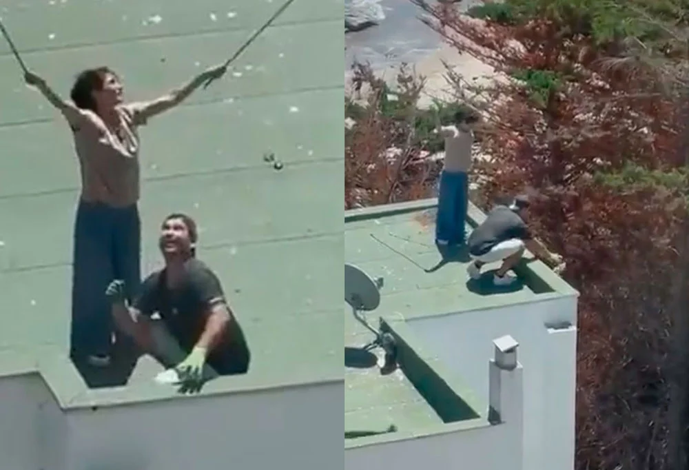 VIDEO| Indignación por pareja que lanza crías de gaviota desde edificio de Maitencillo: Son buscados por la justicia