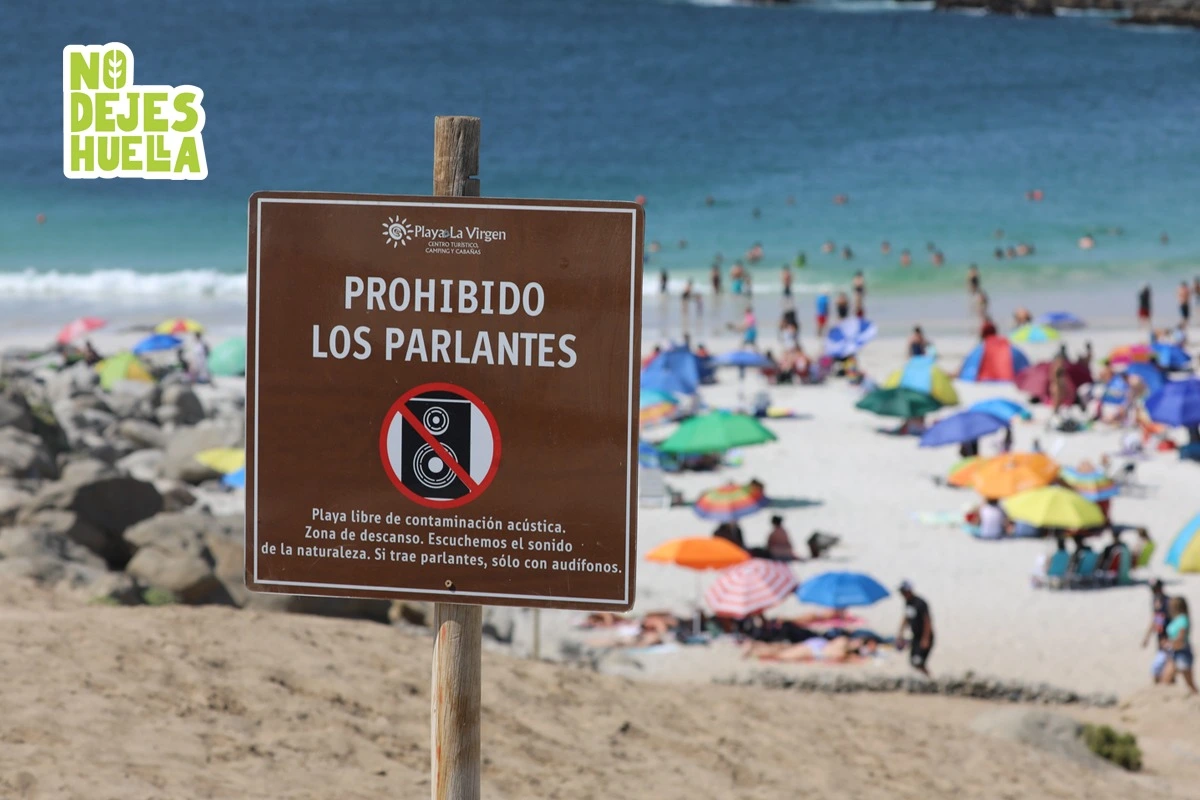 Ruido que ensucia: Cómo la música fuerte en playas y naturaleza afecta la vida de animales y vecinos