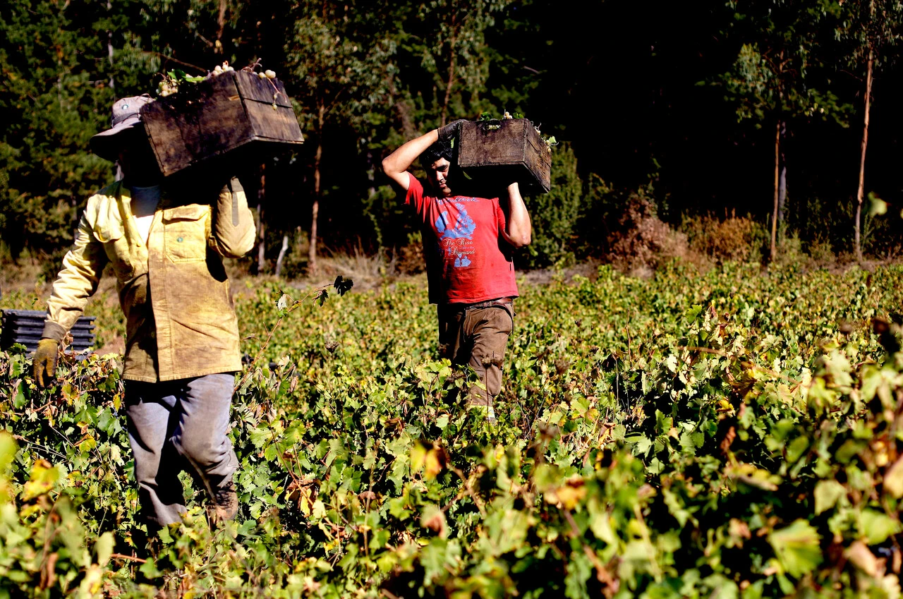 Más de medio millón de personas salieron de la pobreza desde el año 2022: Boric critica la frase 