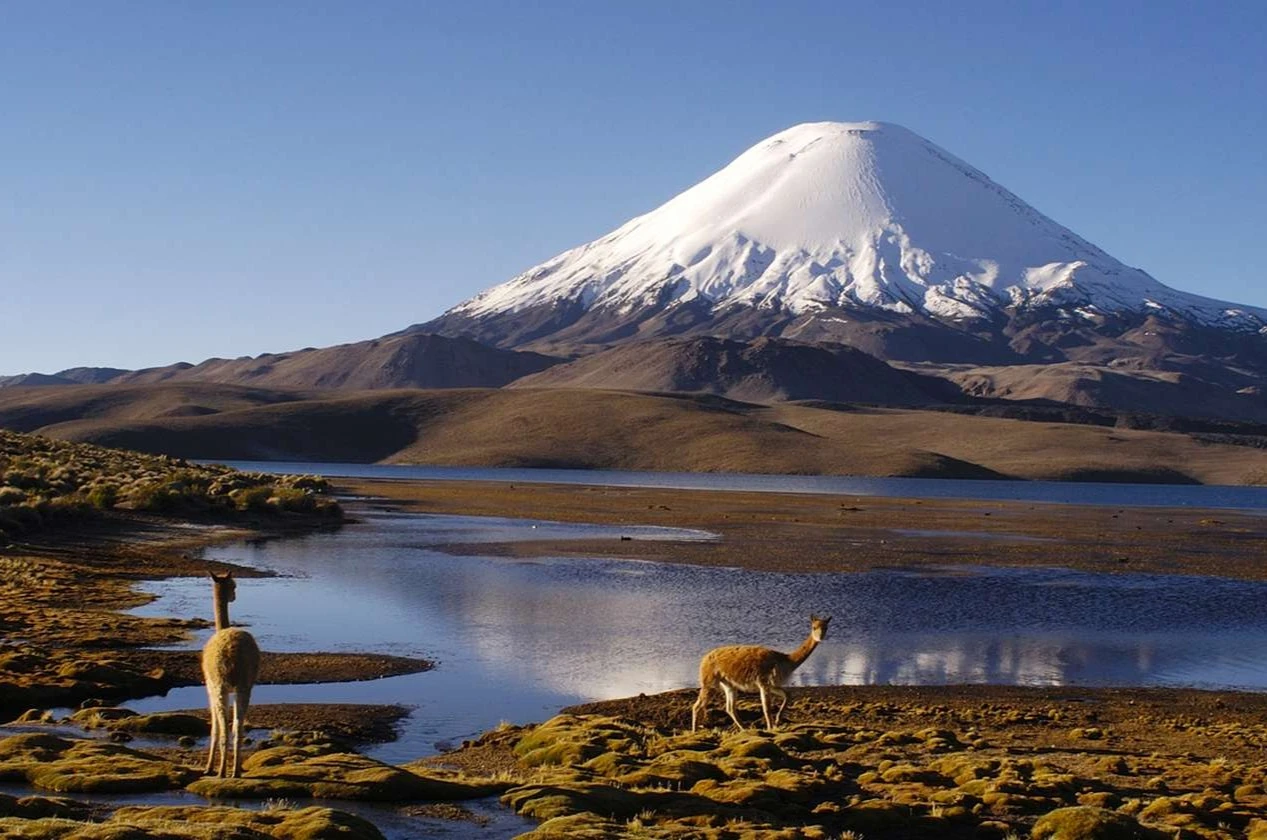 Parque Nacional Lauca.