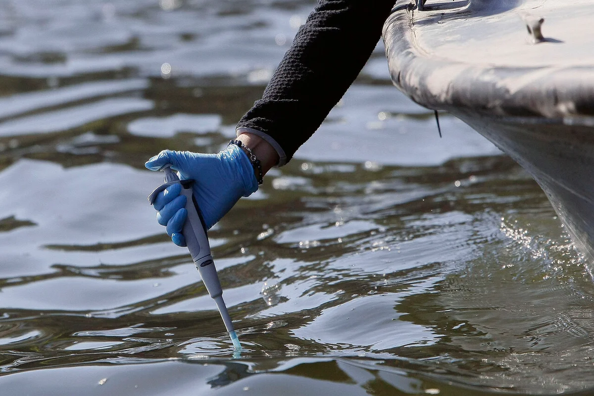 Crisis ambiental en Lago Vichuquén: Cámara aprueba resolución para exigir acción inmediata del Ejecutivo