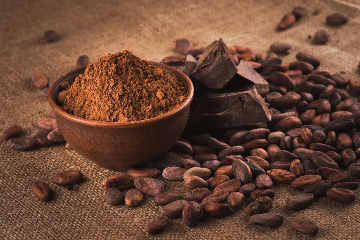 Teobromina: El ingrediente poderoso del cacao que potencia el envejecimiento lento, como el que tuvo la reina Isabel II