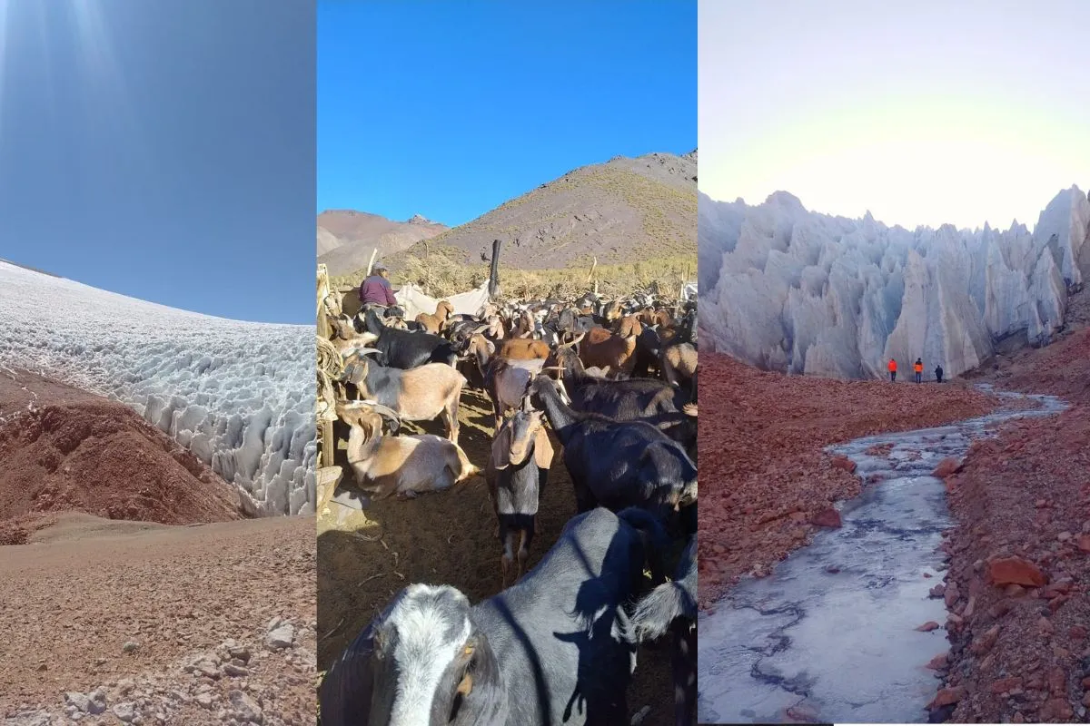 Veranadas en la alta cordillera en el Valle del Huasco.