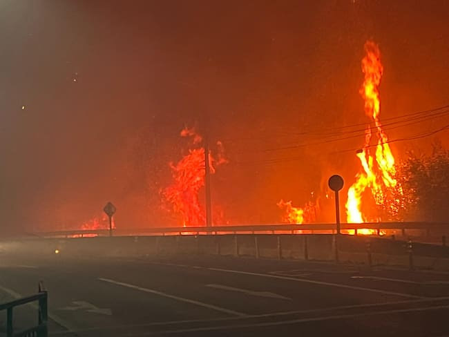 Gobierno confirma 15 muertos por incendios forestales en el Biobío: ministro Cordero entrega balance oficial