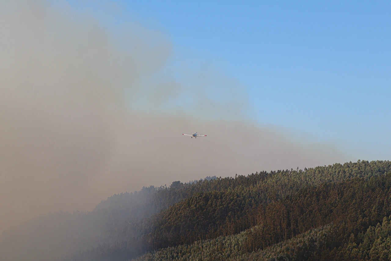 Llaman a convertir paisaje de Chile en un mosaico diverso para frenar la propagación de mega incendios