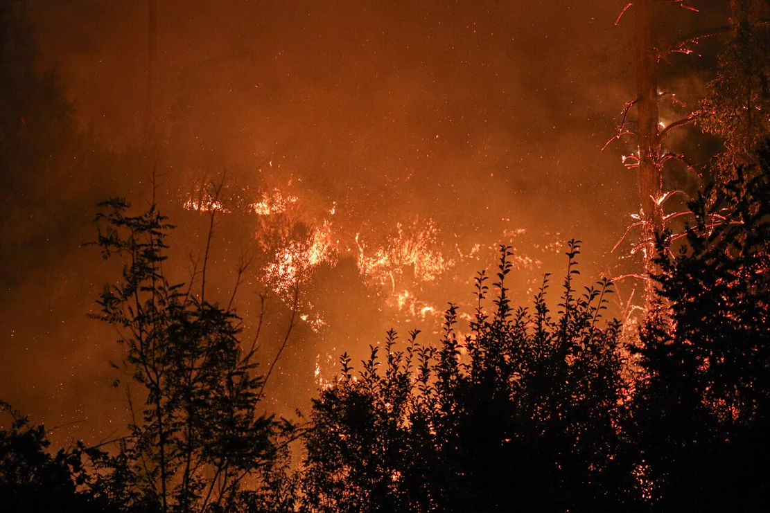Tragedia por incendios forestales en Chile: Sube a 19 los fallecidos, más de 1.500 damnificados y casi 1.000 viviendas dañadas