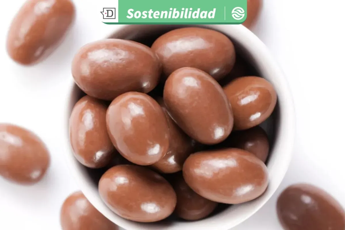 Concurso de innovación sustentable: Conocido chocolate obtuvo el primer lugar tras rediseñar su envase y reducir materiales