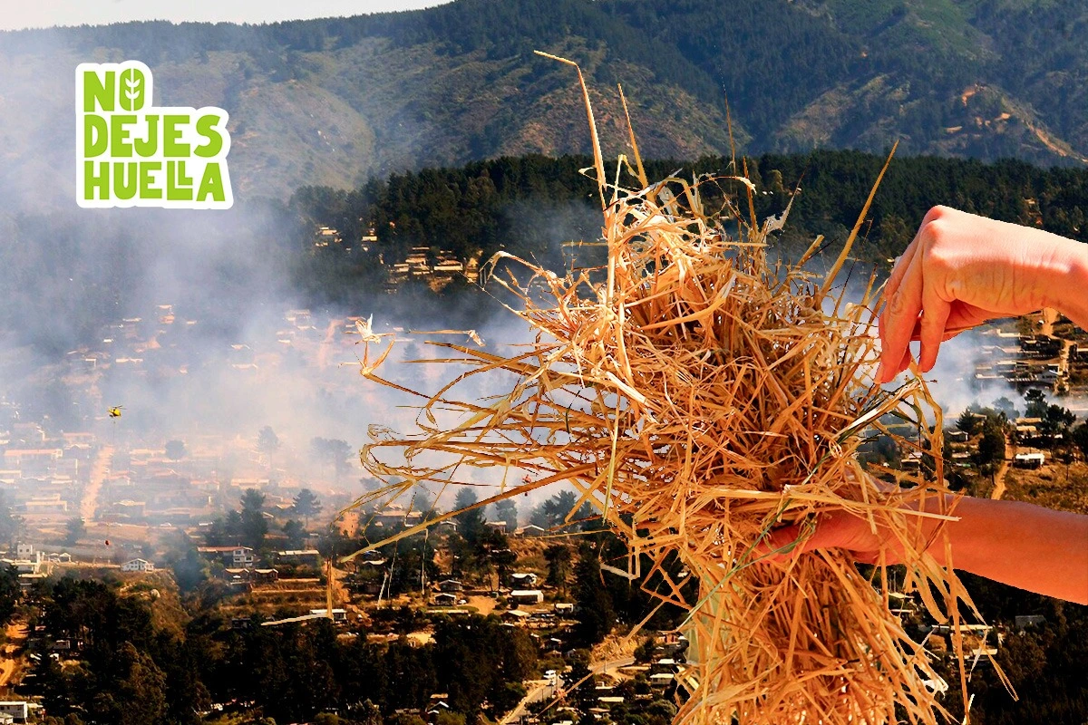 Zonas de riesgo de incendios.