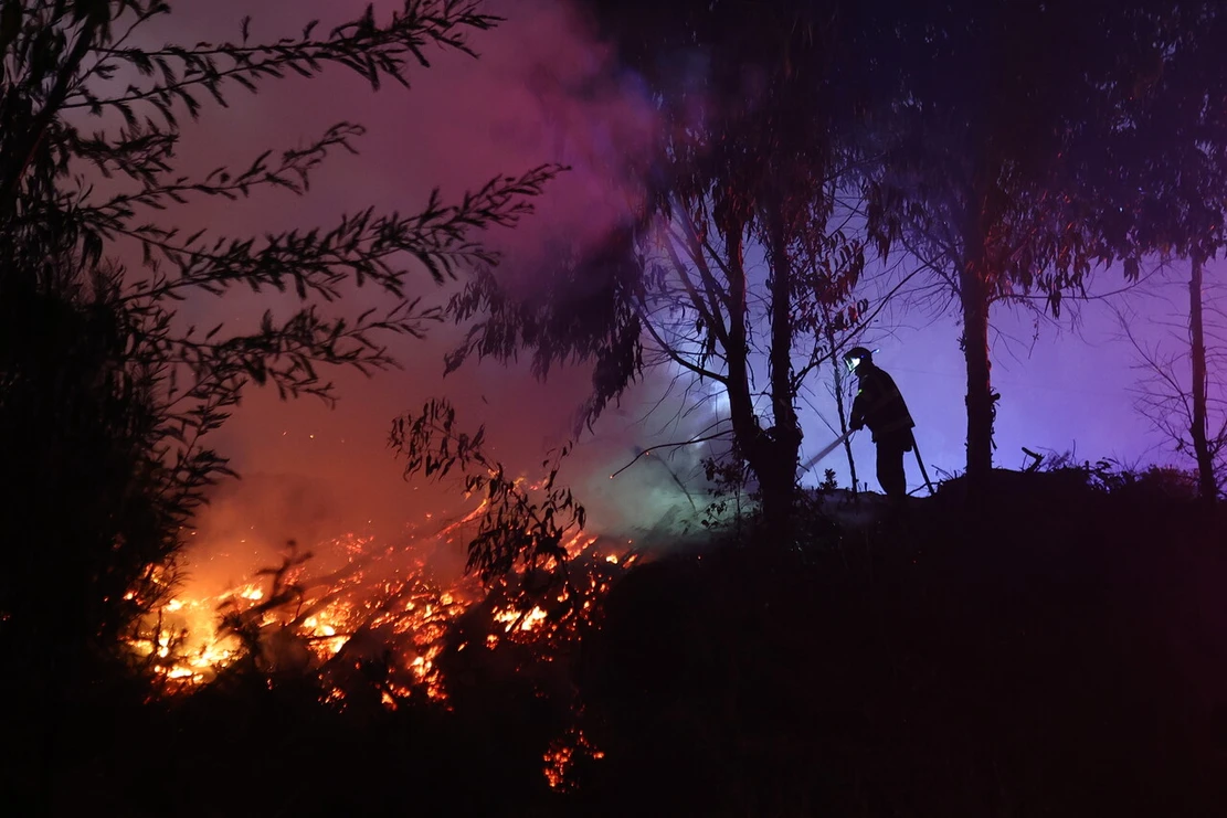 Incendios forestales en Ñuble y Biobío se reactivan: Sexto día de combate de las llamas en jornada con más de 30°C