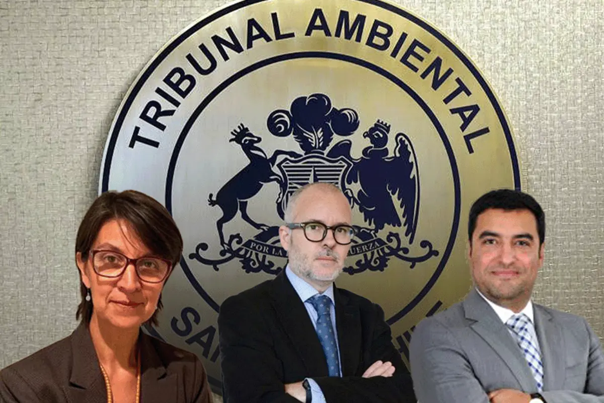 Candidatos tribunal ambiental