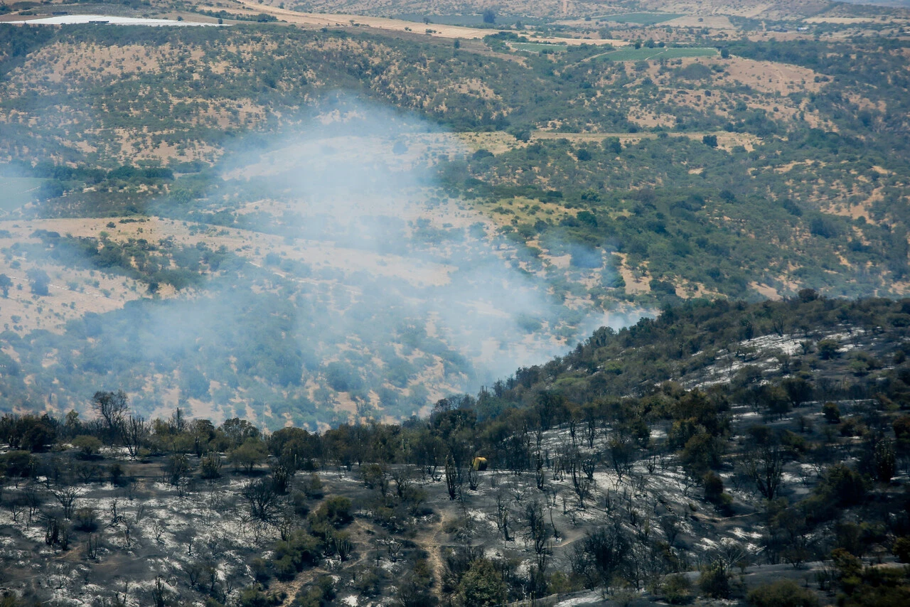 Incendios forestales en suelos de Chile.