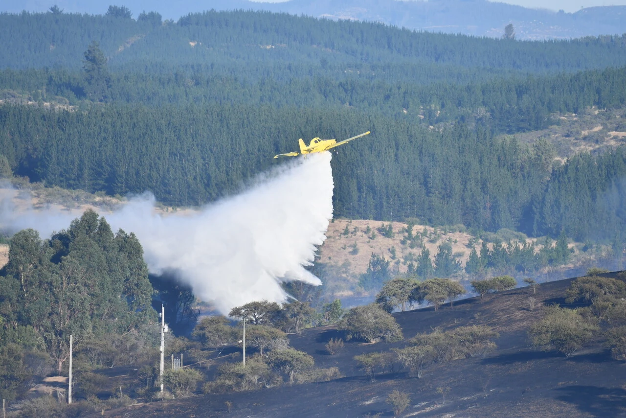 Incendios y plantaciones forestales.
