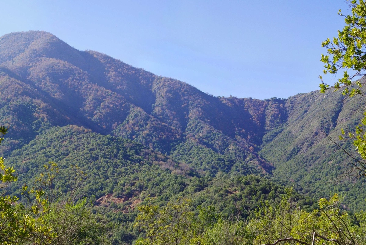 Ecosistemas amenazados en Chile.