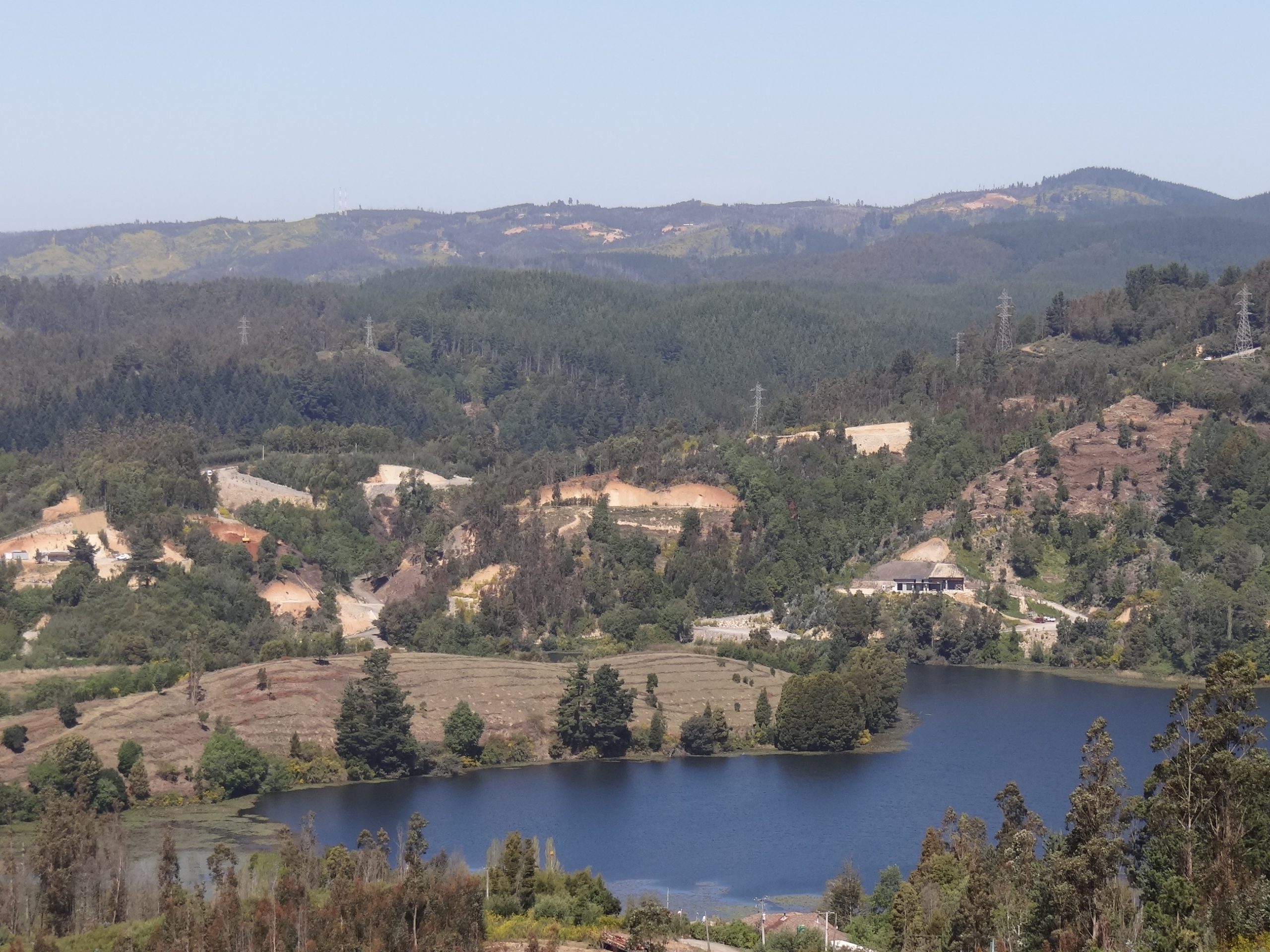 Venta de parcelas y subdivisiones de terreno irregulares destruyen humedal de Nonguén y laguna Lo Pineda en la Región del Biobío