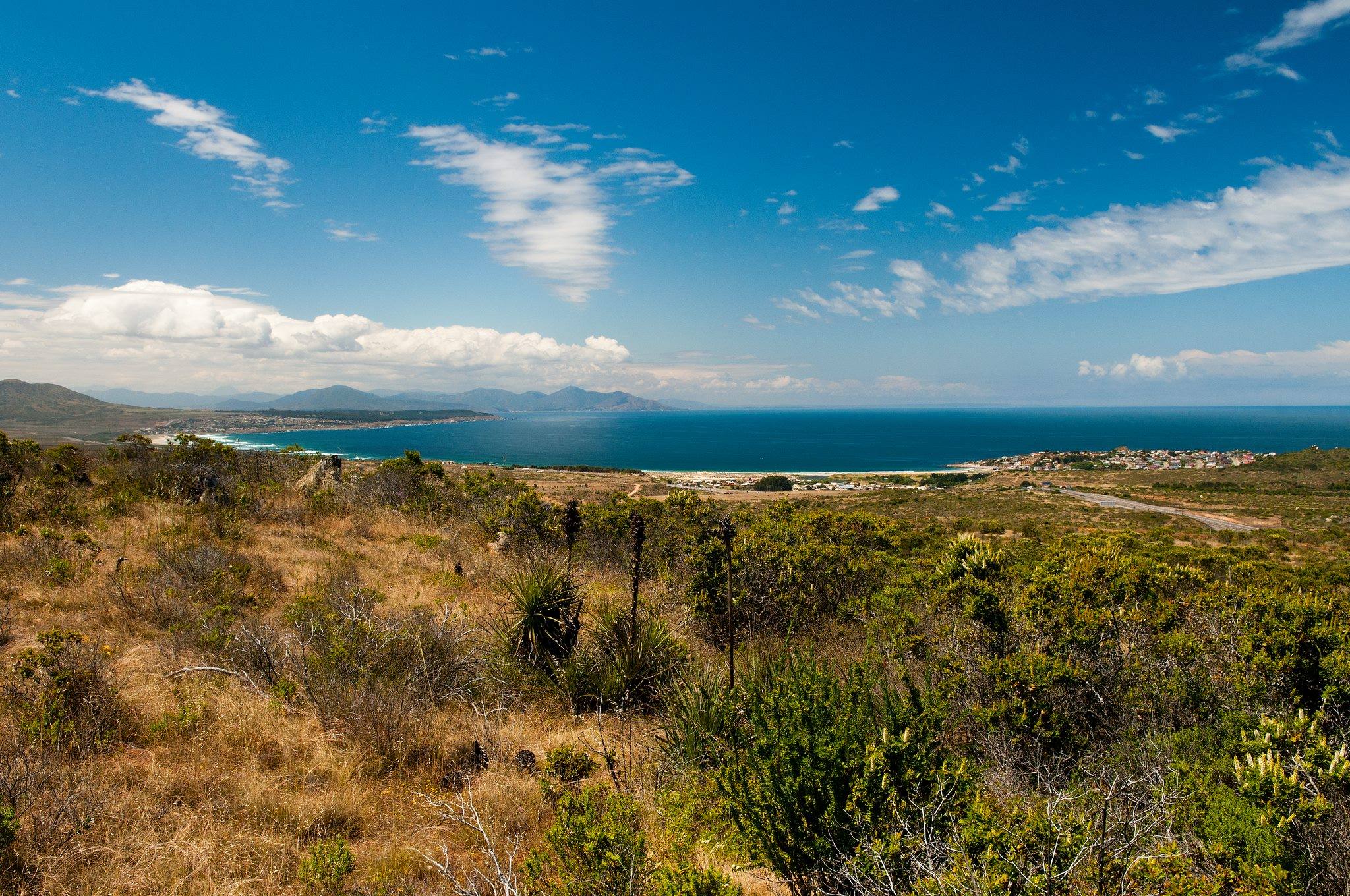 Condominio privado amenaza futuro Santuario de la Naturaleza Los Molles-Pichidangui