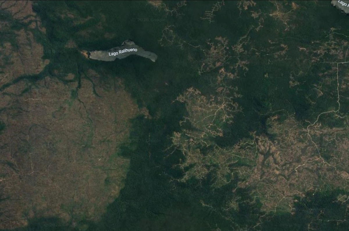 Deforestación en Chiloé.