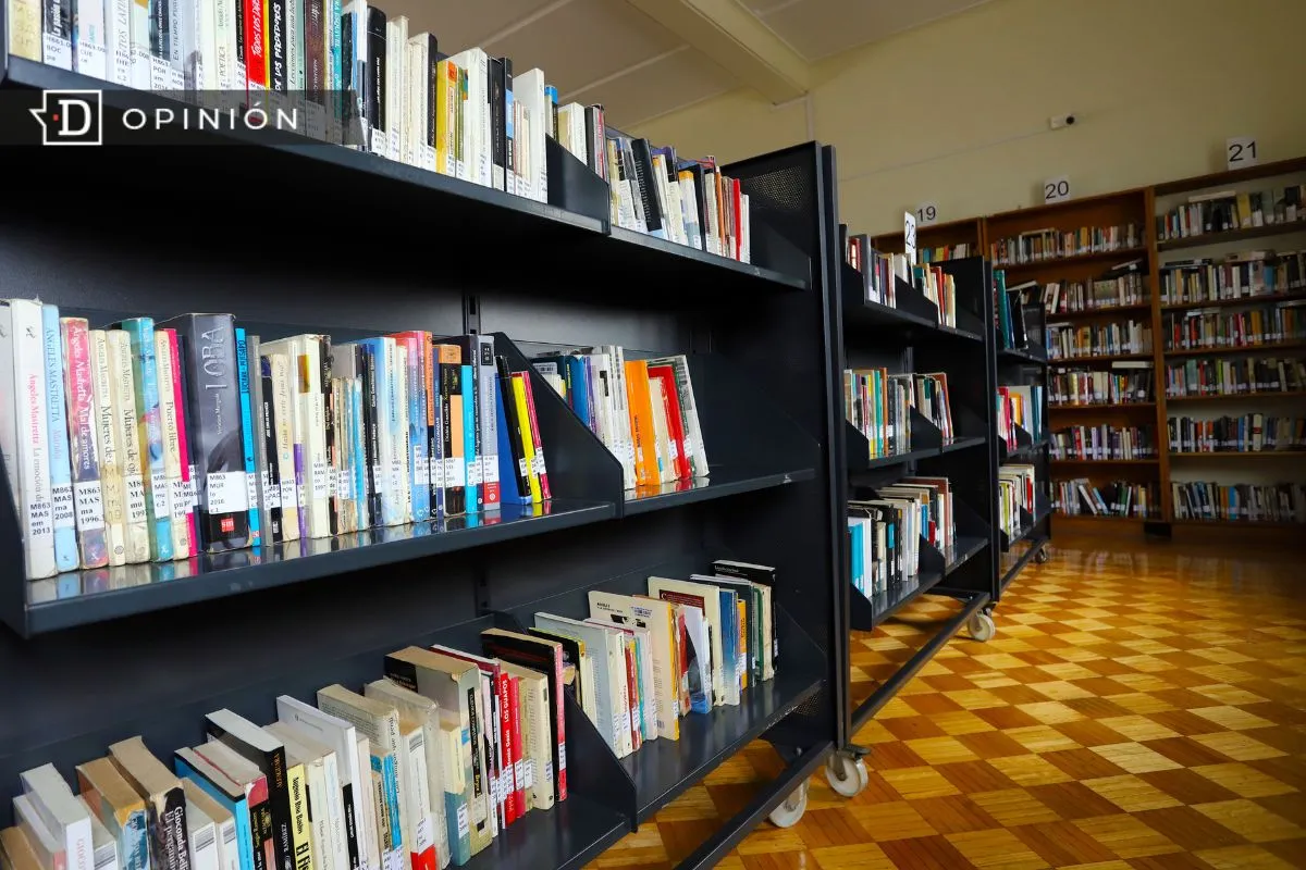 Bibliotecas, dilemas y ecos