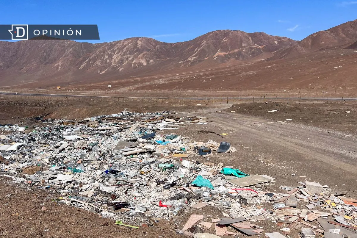 La importancia del cuidado ambiental en América Latina