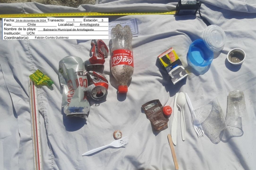 Colillas de cigarro, bolsas plásticas y envases desechables: Científicos ciudadanos mapean la basura en ríos y playas de Chile