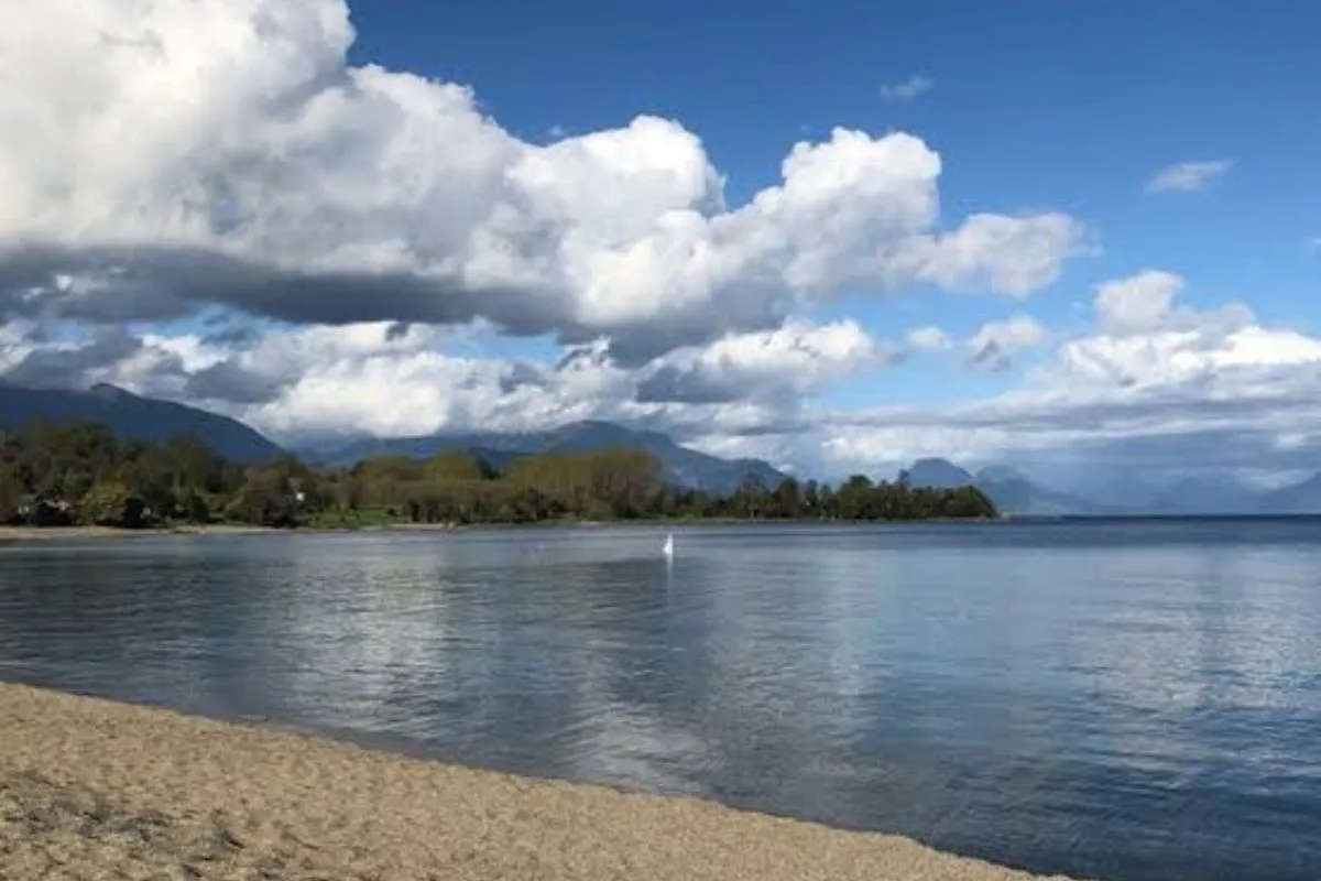 Dictan prisión preventiva para 3 agresores de evento clandestino realizado en terrenos ligados a familia Piñera-Morel en Bahía Coique