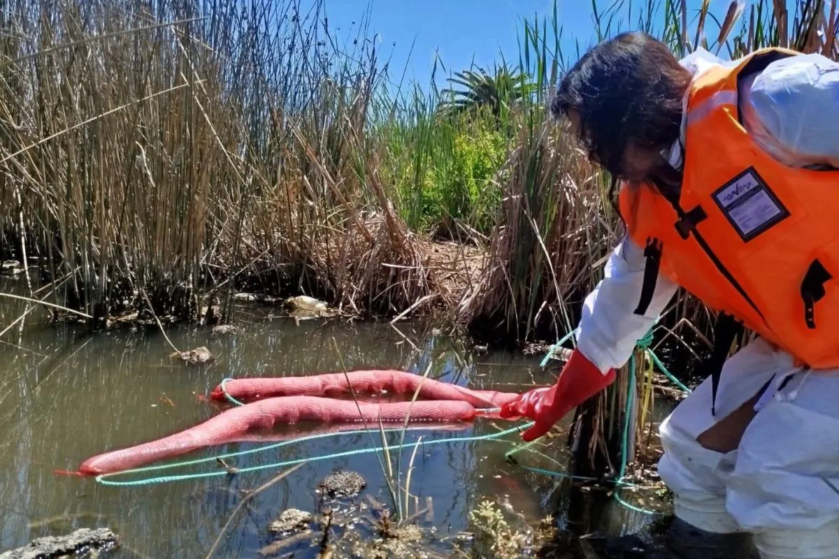 Transforman cabello humano en filtros para remover aceites y contaminantes de humedales en Valparaíso