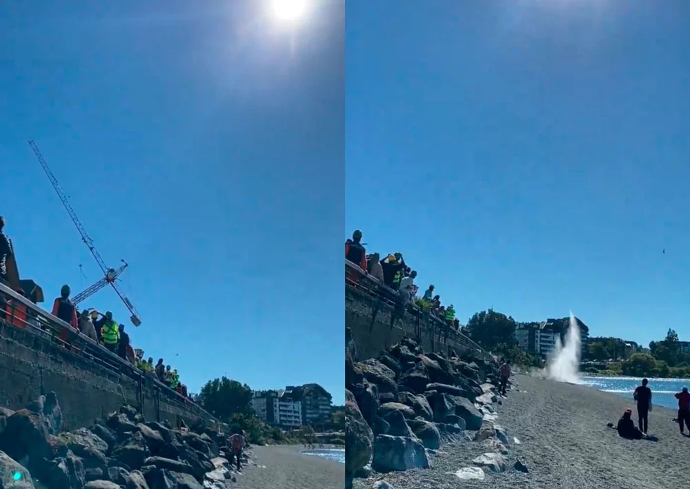 VIDEO| Enorme grúa pluma se desploma en Puerto Varas y cae a las aguas del Lago Llanquihue