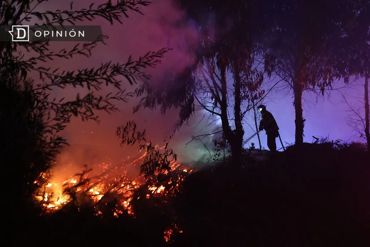 Naturaleza para todos, pero no de cualquier forma