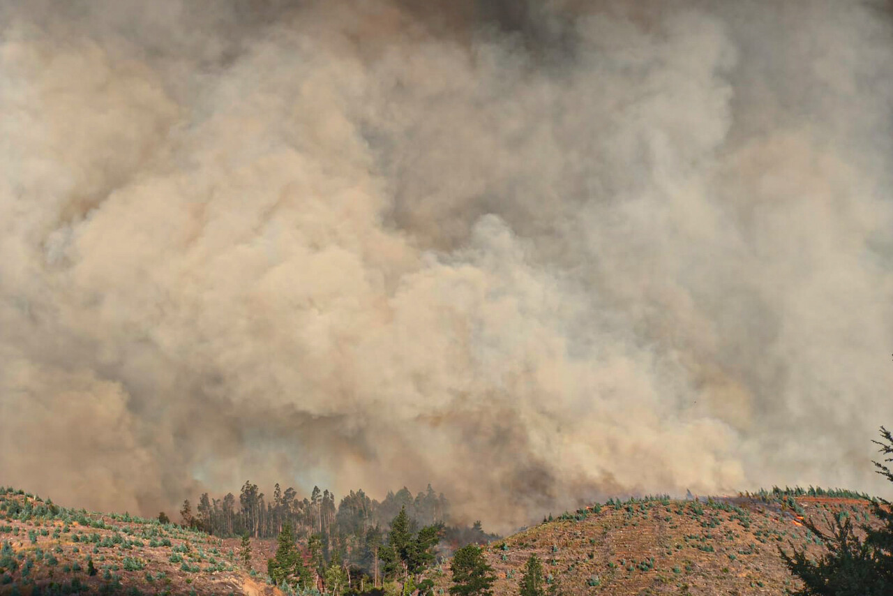 Incendios forestales arrasan más de 1.600 hectáreas en Maule y Ñuble: Las comunas con Botón Rojo para este miércoles