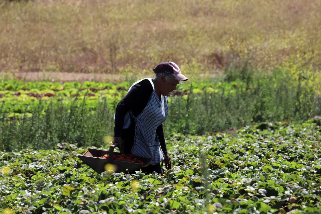 Desempleo en Chile tiene leve alza, pero creación de empleos sube 1,2% en últimos 12 meses