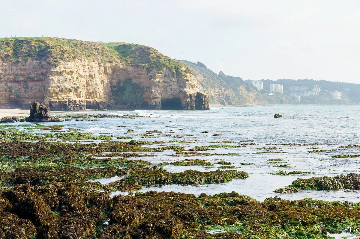 Acantilados de Quirilluca en Puchuncaví.